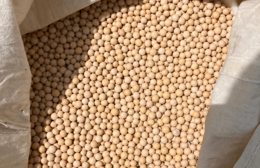 Bellair Field Pea 